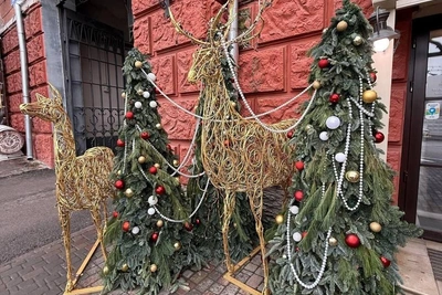 Волгоградские рестораны украсились к Новому году