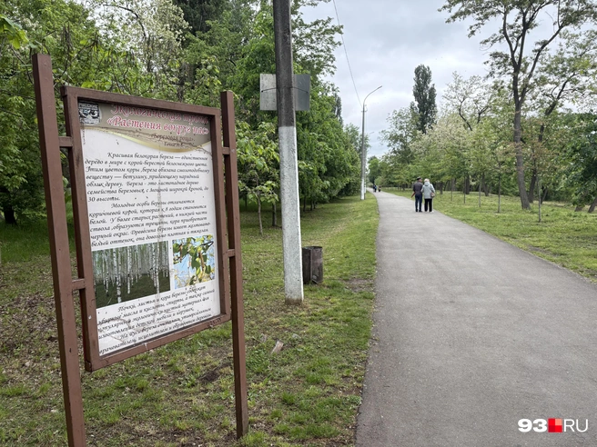 Экологическая тропа | Источник: Екатерина Подымова / 93.RU