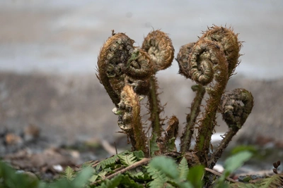В Приморье в воскресенье ожидается потепление