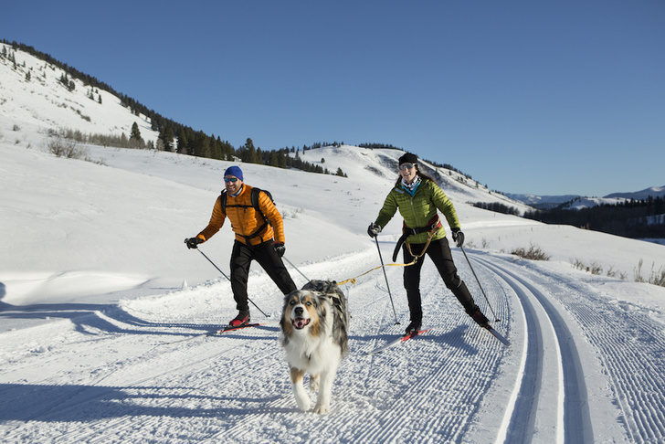 Балет на лыжах и хоккей с метлами: 7 необычных видов спорта, которые помогут остаться в форме зимой
