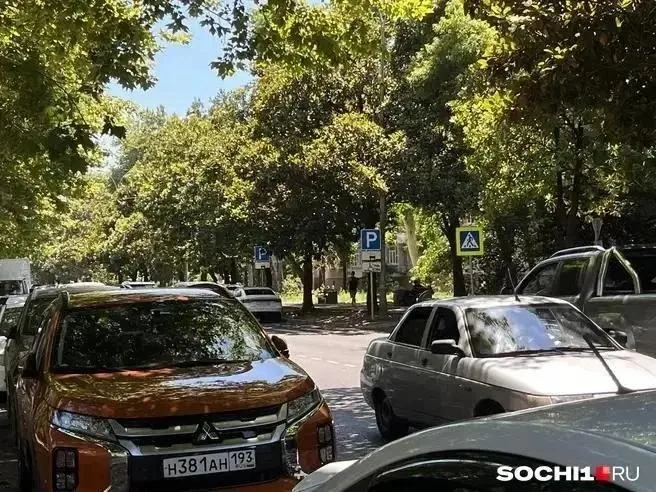 В Сочи рассматривают вопрос бесплатных парковок у больниц | Источник: Анна Грицевич / SOCHI1.RU