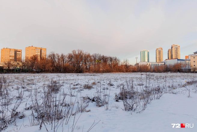 Источник: Ирина Шарова / 72.RU