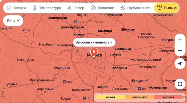 В столице нигде не спрятаться от аллергенов | Источник: «Яндекс. Погода»