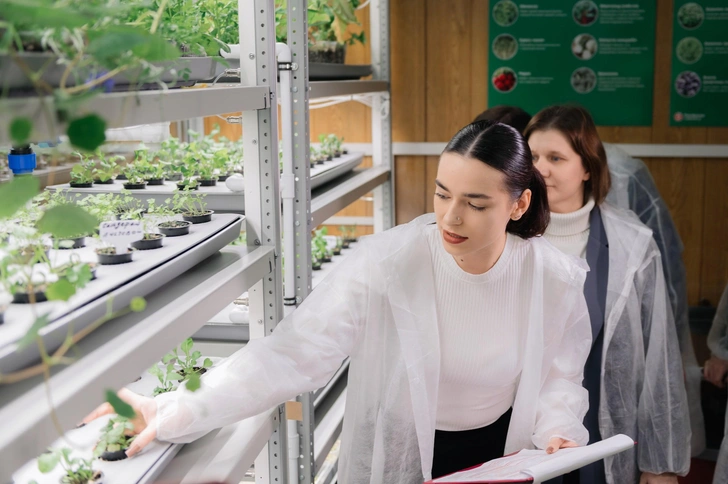 Будущее уже здесь: как бывшие школьники придумали и реализовали проект по выращиванию микрозелени | parents.ru