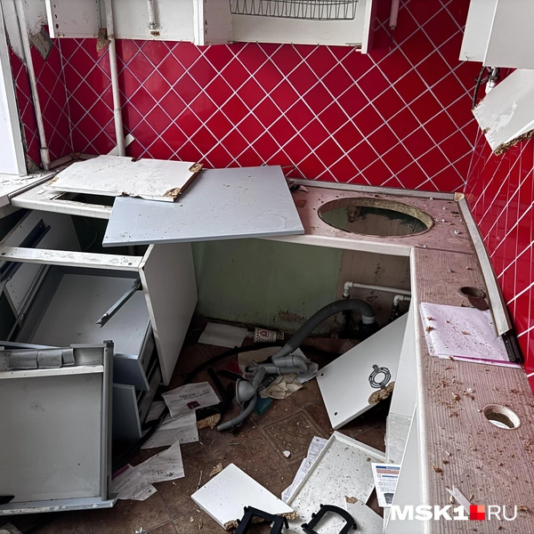 Источник: Алина Мельникова / MSK1.RU