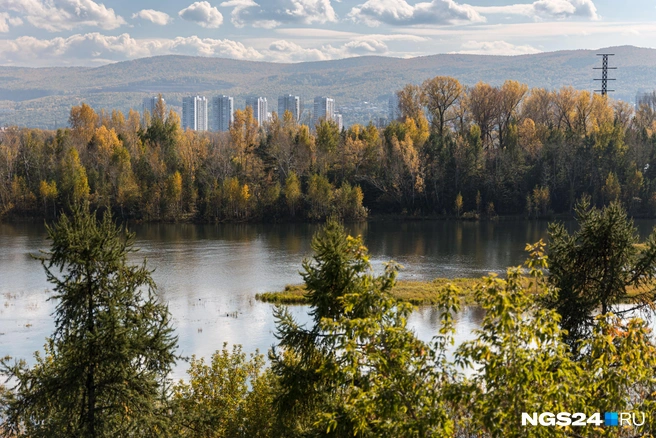 Красноярск может стать лучше, но все живущие в нем стремятся сделать его таким | Источник: Мария Ленц / NGS24.RU