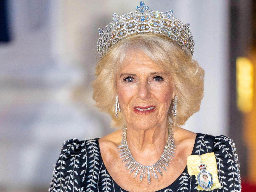 Камилла на государственном банкете во время первого визита короля и королевы-консорта в Германию, 29 марта 2023 | marieclaire.ru