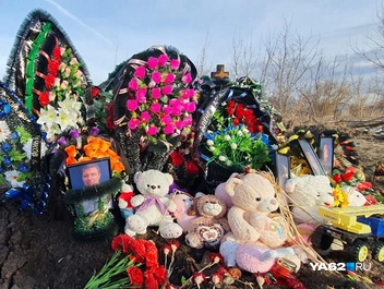 Вся могилка в плюшевых игрушках | Источник: Кристина Мельникова / YA62.RU