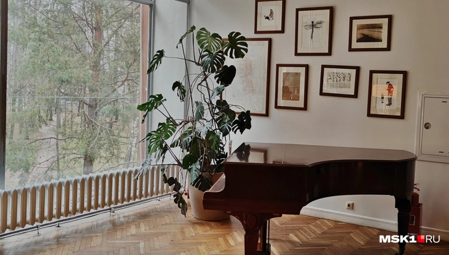 Источник: Полина Баранова / MSK1.RU