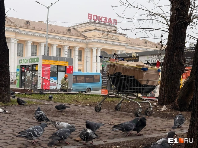 Пространство за высокой оградой вокзала смотрится неприглядно | Источник: Дарья Костомина / E1.RU