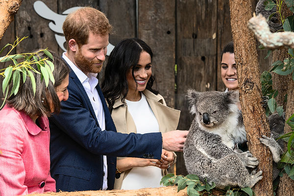 Гарри и Меган познакомились с коалами, названными в честь них
