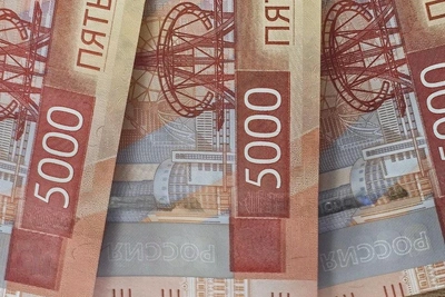 Нападение собак обошлось хабаровчанке в 37 тысяч рублей