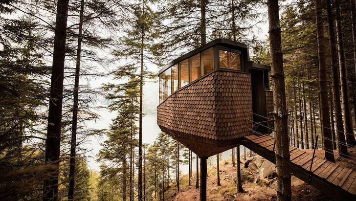 7 уютных домиков в лесу