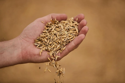 Научный центр в Новосибирске вернёт бюджету 41 миллион