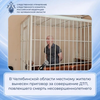 Водителя осудили за ДТП со смертью сына | Источник: chel.sledcom.ru