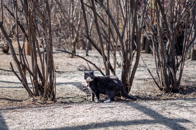 Весна в Иркутской области будет нестабильной