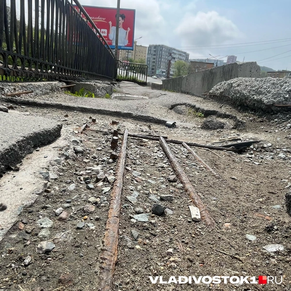 Источник: Елена Буйвол / VLADIVOSTOK1.RU