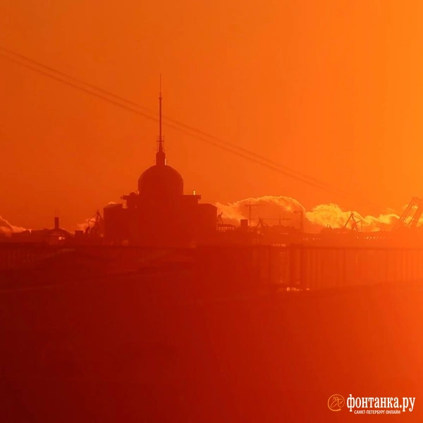 Источник: Дарья Драй / FONTANKA.RU
