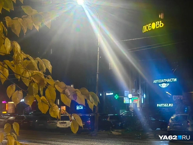 Любовь на Черновицкой | Источник: Кристина Мельникова / YA62.RU