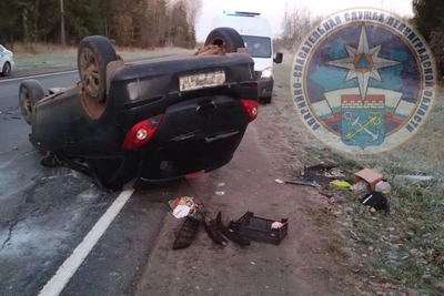 Лось погиб в ДТП с двумя авто в Ленобласти