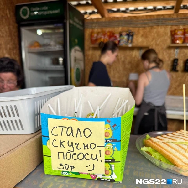 Источник: Полина Шевчукова / NGS22.RU