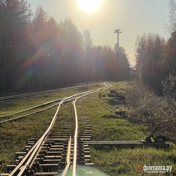 Источник: Предоставлено Максимом Шашковым