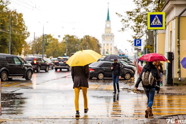 Можно расслабиться: петербуржцев ждет приятный подарок от циклонического вихря - boschservice-expert.ru