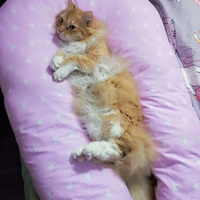 Аватарка Мери