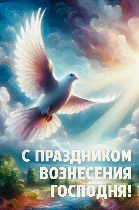 Источник: Городские медиа