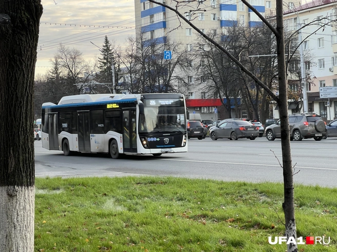 А ещё говорят, что ходит редко | Источник: Андрей Бирюков / UFA1.RU