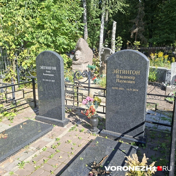 Источник: Алена Воропаева / Voronezh1.ru