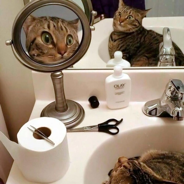 Источник: соцсети