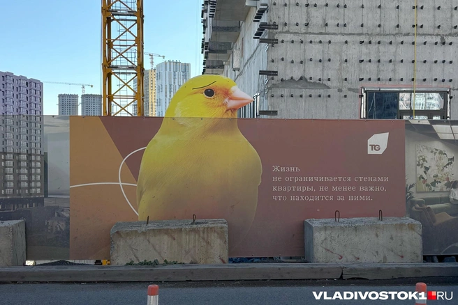 Источник: Елена Буйвол / VLADIVOSTOK1.RU