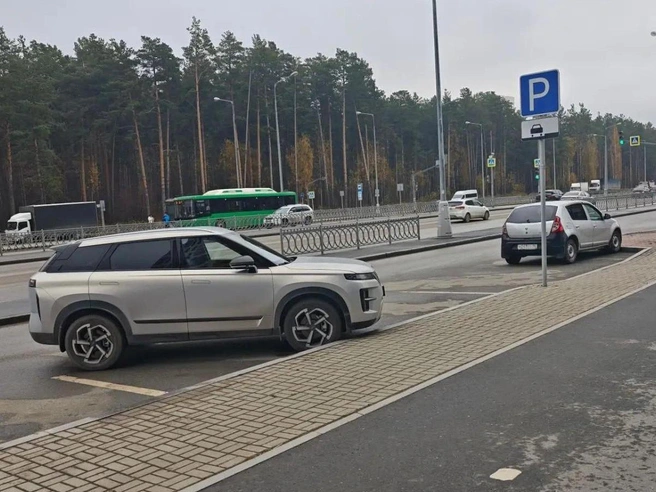 Многие водители ставят автомобили по диагонали, хотя есть разметка и знаки | Источник: читатель E1.RU