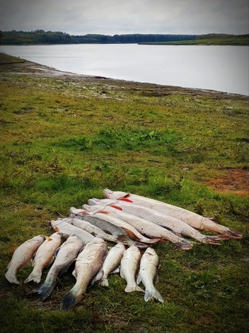 Источник: Рыбалка в Тобольском районе / Vk.com