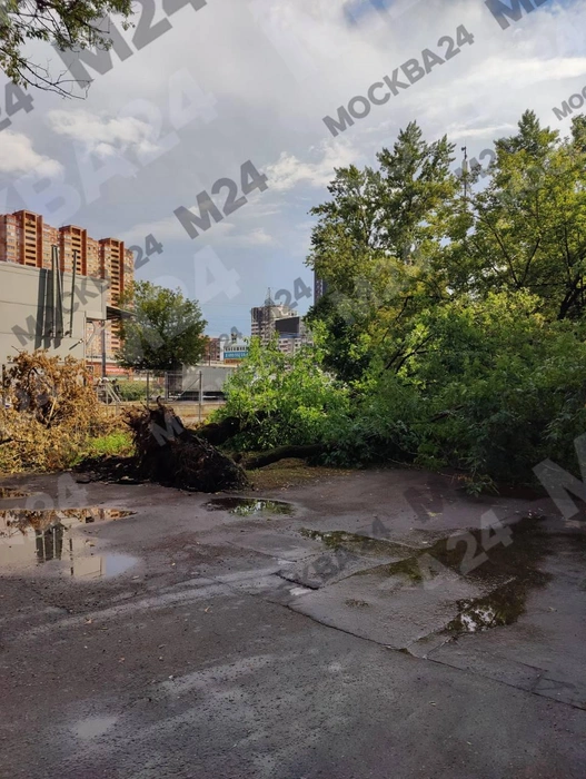 Источник: Москва / T.me