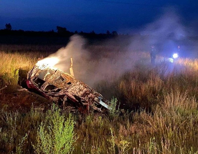 Lexus вспыхнул после наезда на косулю | Источник: ГУ МВД по Алтайскому краю