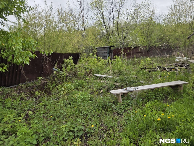 Подойти к туалету на одном из участков невозможно | Источник: Елизавета Шаталова / NGS.RU