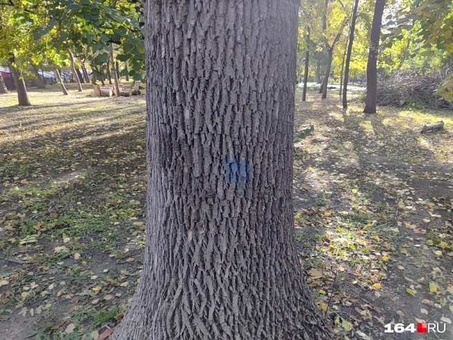 Загадочная синяя метка. | Источник: Сергей Гендин / 164.RU