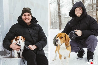 Ярославцы рассказали истории о своих питомцах