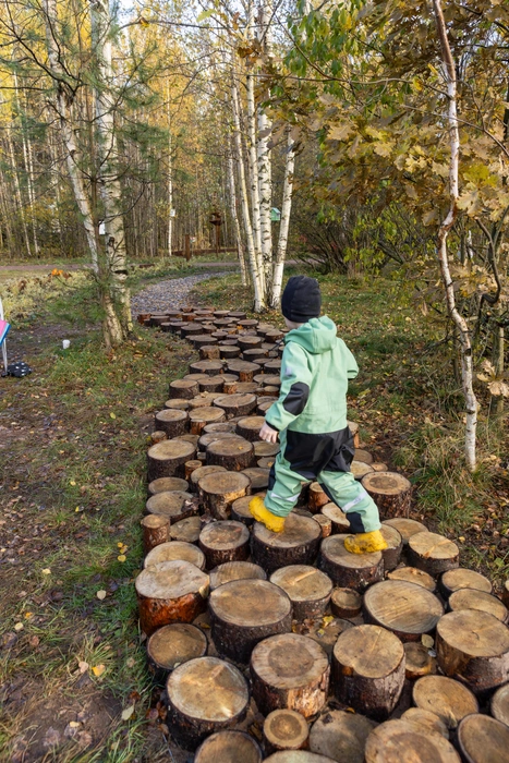 В Новоорловском заказнике открыли экологическую тропу, высадили ели и выпустили птиц | Источник: Предоставлено ГК «Ленстройтрест»