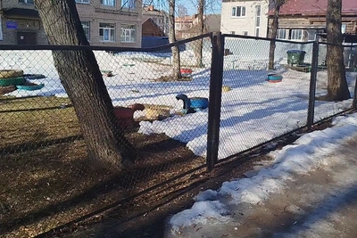 Родители в Угличе требуют ремонта забора детского сада