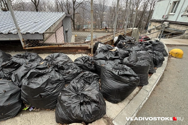 Мусор копится в мешках | Источник: Елена Буйвол / VLADIVOSTOK1.RU