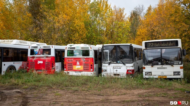 В автопарке «Дизеля» хранят несколько старых автобусов, из которых хотят сделать музейную экспозицию | Источник: Владимир Зыкин