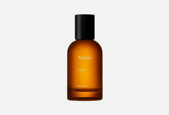 Aesop Hwyl