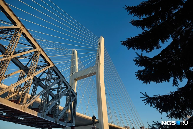 Высота пилона вантового моста&nbsp;— 114 метров | Источник: Александр Ощепков / NGS.RU
