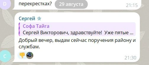 Ответ мэра | Источник: Чат Верещагин Сергей / Telegram