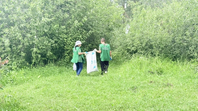Источник: ojm.tatarstan.ru