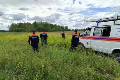 Двое подростков заблудились в лесу под Тюменью