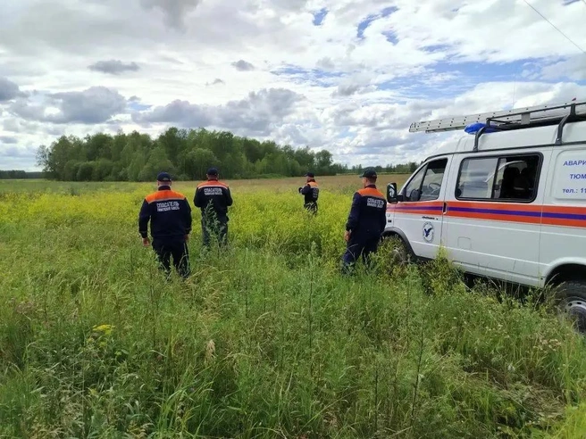 Двое подростков оказались в лесу. Они заблудились | Источник: ГКУ ТО ТОСЭР